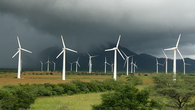 México no participará en el cambio a energía renovable